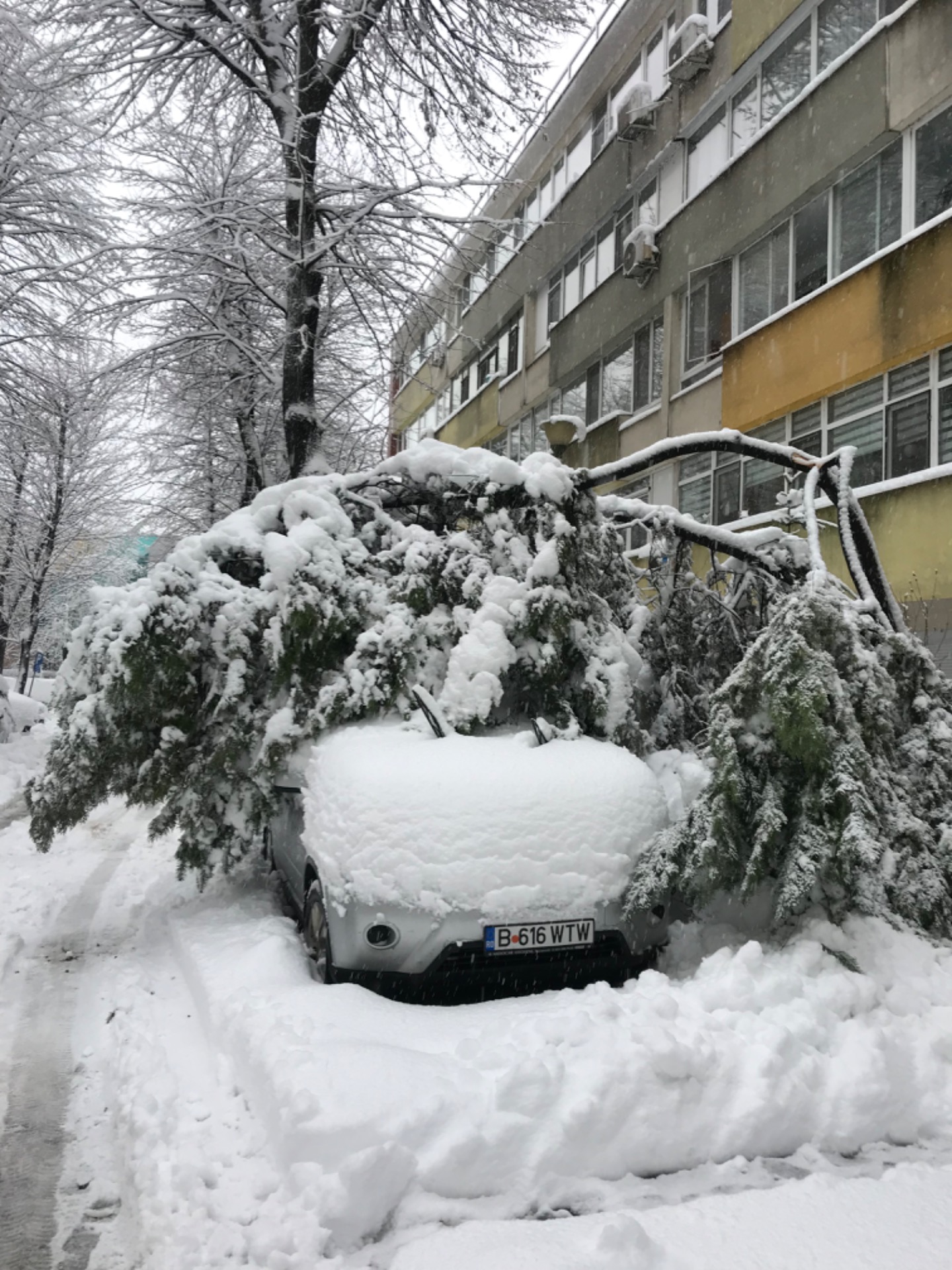 Foto Marieva Ionescu